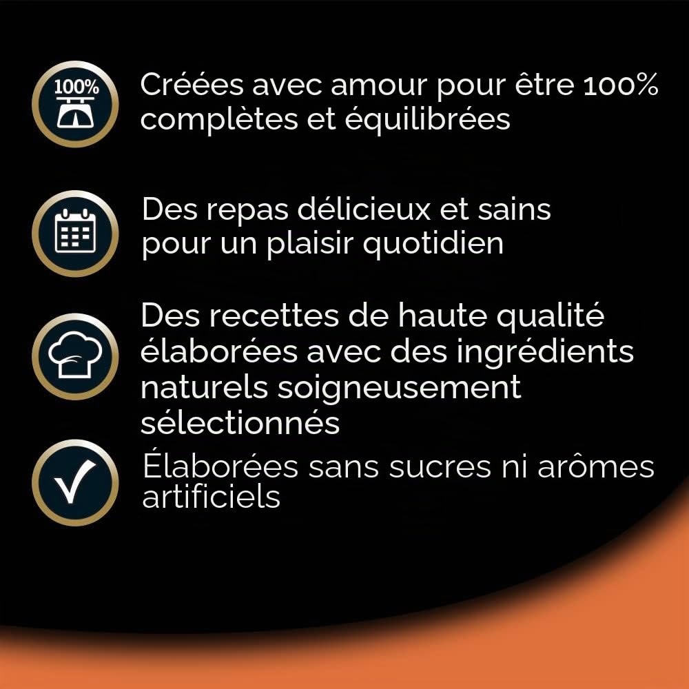 César Multipack de Bandes Alimentaires humides pour Les bretaits, sélection de Classiques (Paquet de 6 x 4 tarifs x 150g)