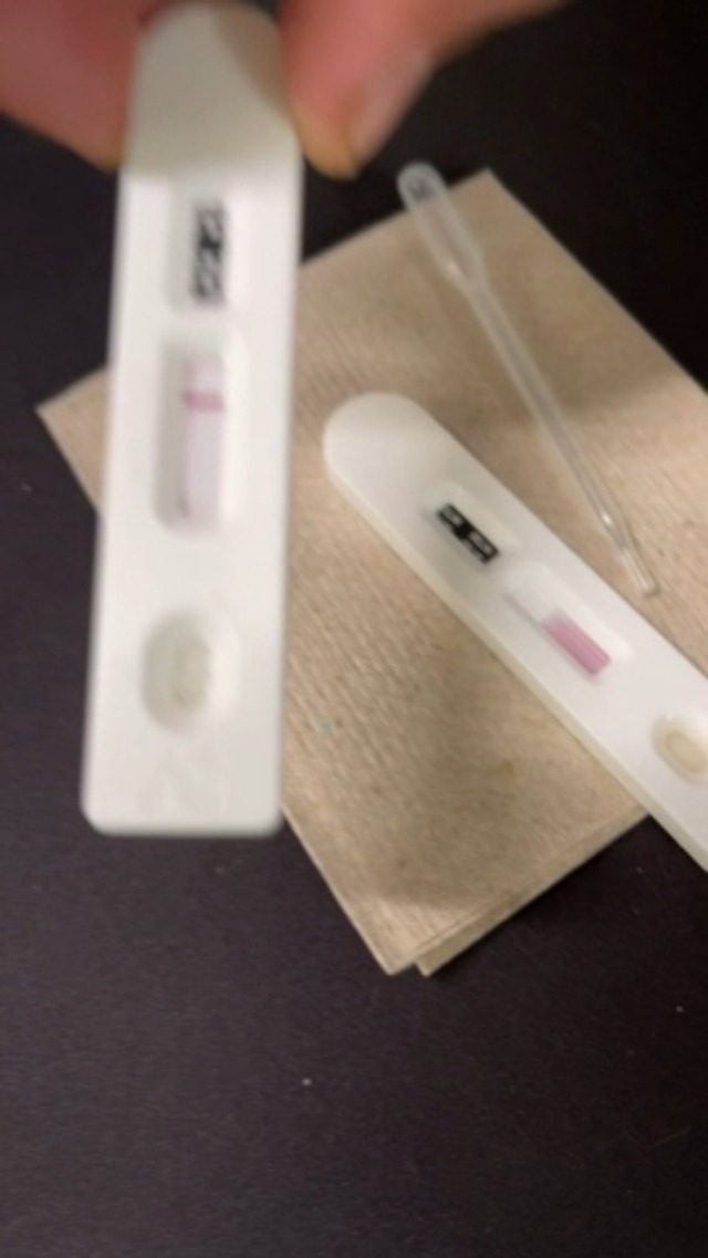 Watch How to Use Rapid Canine Pregnancy RLN Testing Kit for Dogs on ...