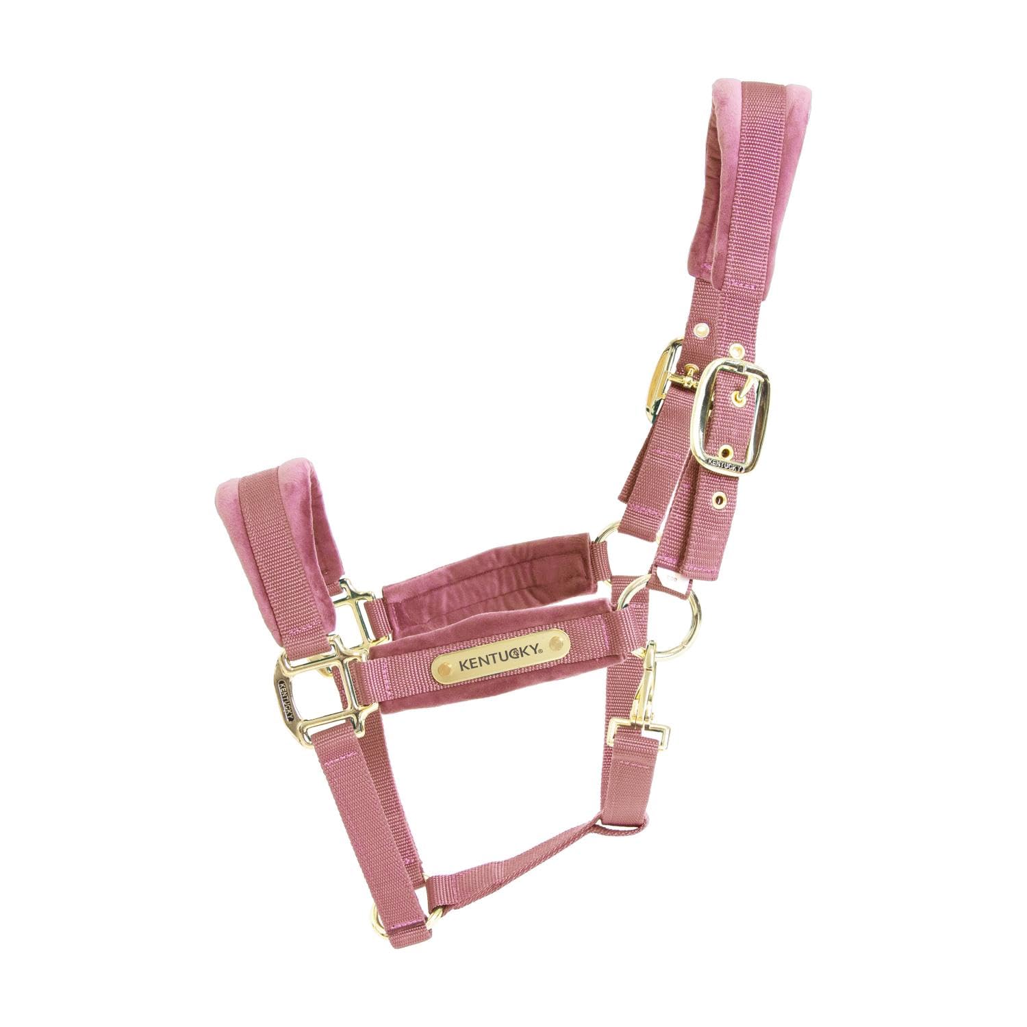 Kentucky - Halfter Pony - Alte Rose - Samt
