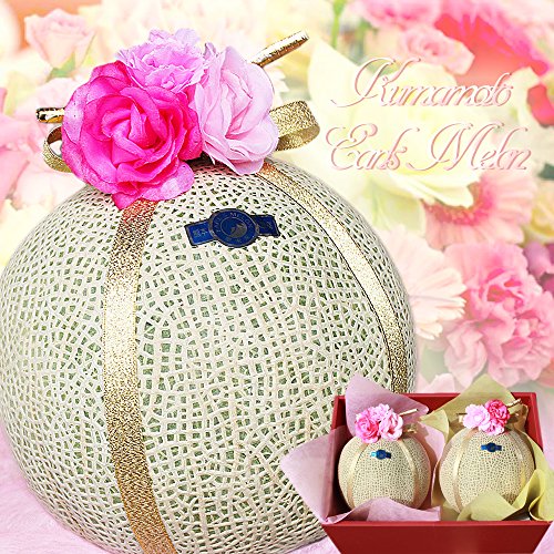 アールスメロン 2玉入り 化粧箱入り 熊本産