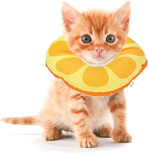 Jevnd Neutro extra pequeño para gatito después de la cirugía collar suave isabelino para gatito de 0 a 6 meses de edad collar de recuperación de