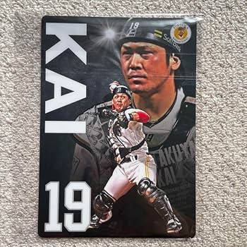 Amazon.co.jp: 甲斐拓也 19 サイン下じき サイン ソフトバンクホークス