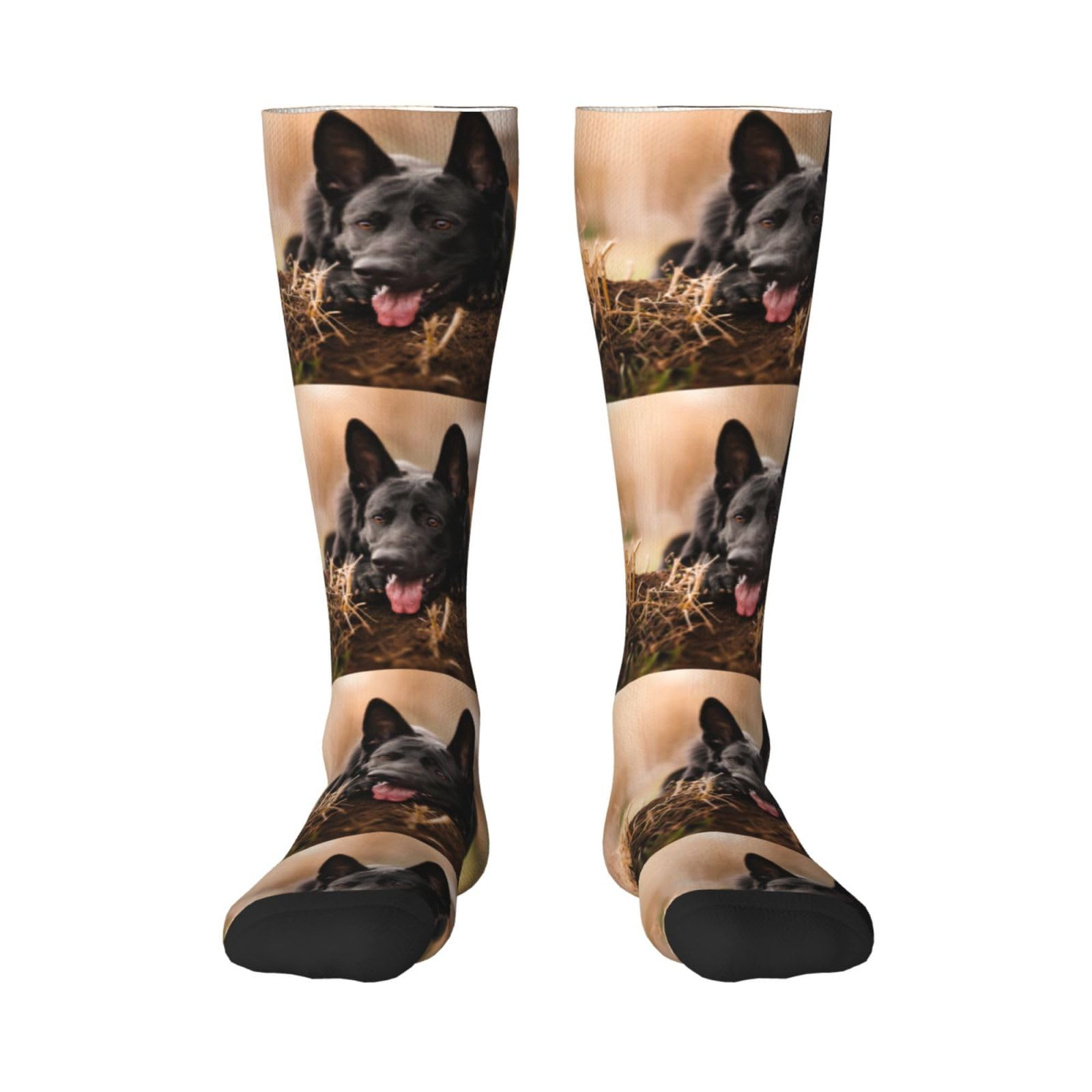 Tcoay Men's 1 Black Warm Adult Socks For Wo Socks Sports Polyester Stockings,Black German Shepherd Lawn Bokeh German