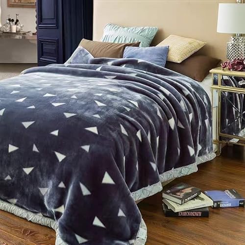 2w d3.6kg NC[TCY uPbg - o[Vu ؍ɍ׃t@[A_炩VL[vbVA~pxbhuPbgA@\ O[ X[(K,150x200cm(2.5kg))