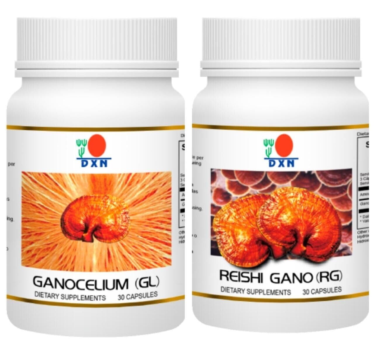 DXN - RG & GL, Reishi Gano 90 CAPSULES, And Ganocelium Capsules - 90 Capsules