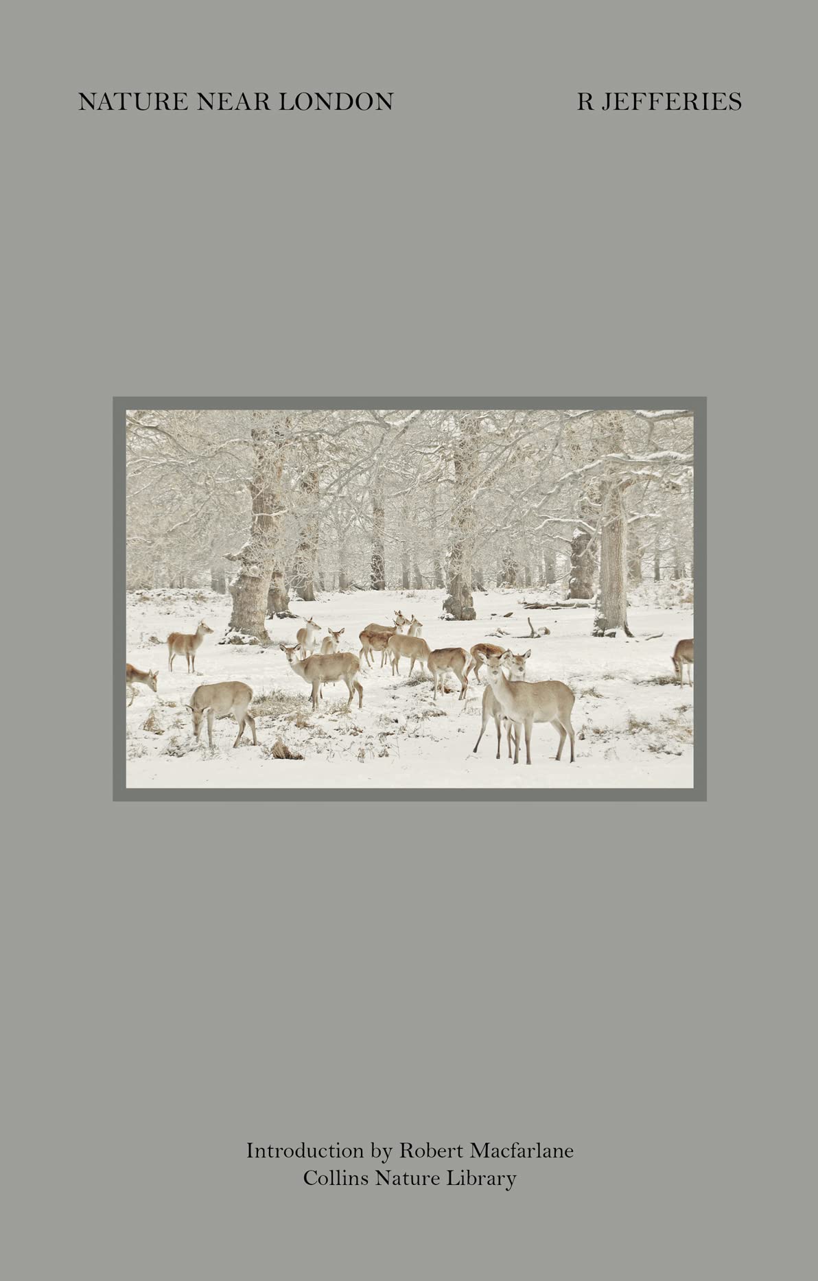 Nature Near London (Collins Nature Library): A Classic British Non-Fiction Study of 19th Century Flora and Fauna