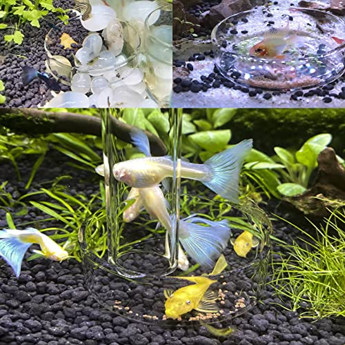 Image of Aquarium Shrimp Feeder Dish Glass Fish Tank Feeding Bowls, 2pcs Square Glass Food Bowl (60mm), 1pcs Round Fish Feeding Bowls with Suction Cups (60mm)
