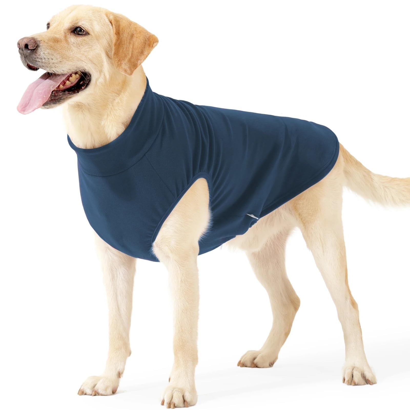 Manteau pour chien doux et isolant contre les frissons du Lévrier