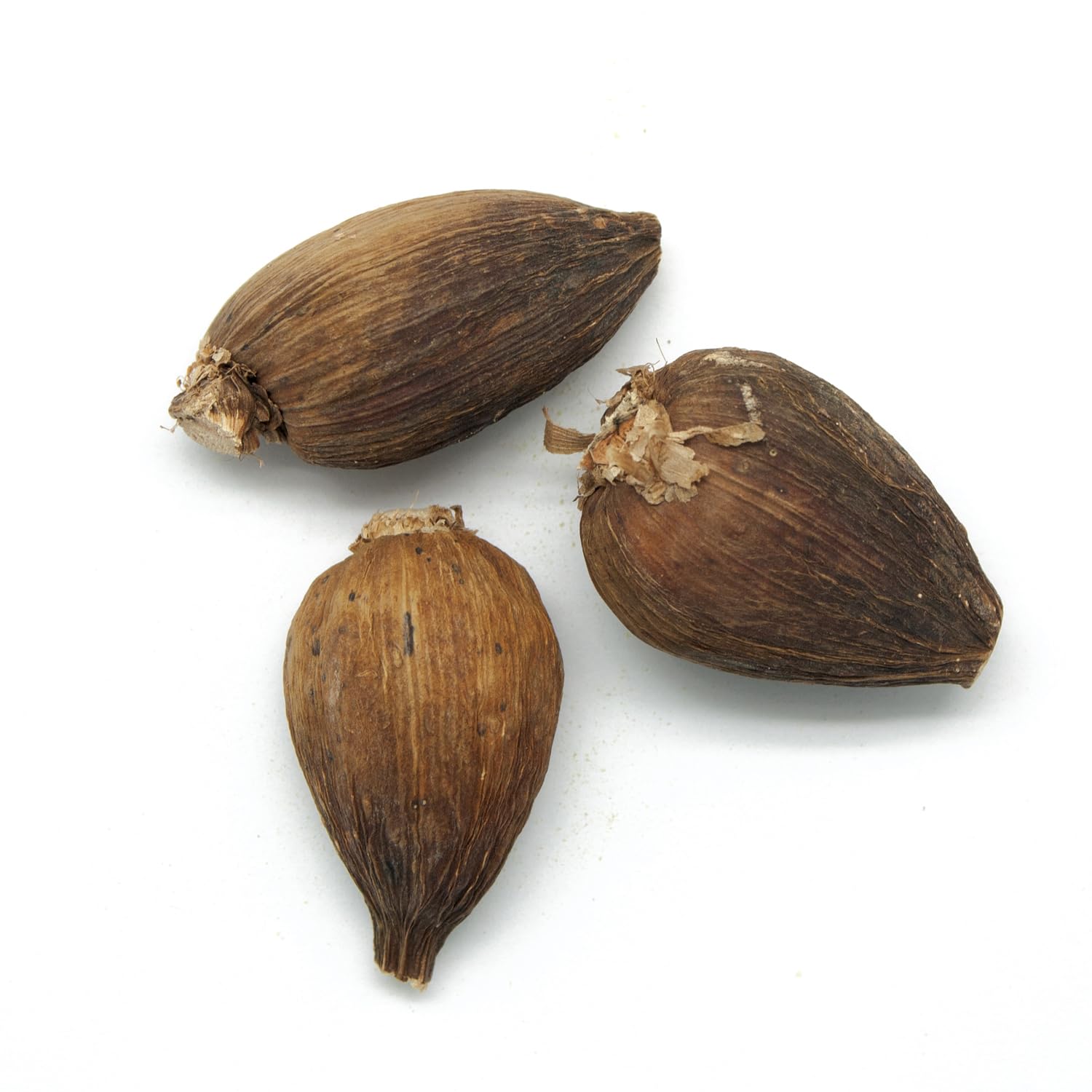 Cardamome noire d'Éthiopie - Sachet de 100 g