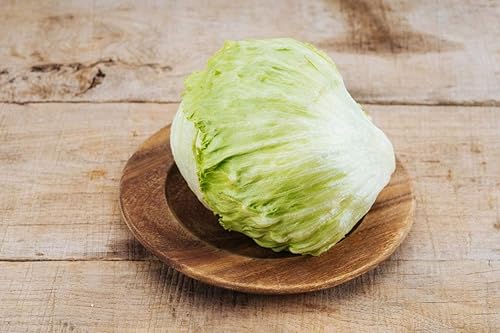 Miniatura 3 de Lechuga Crisphead Iceberg Green Buttercrunch para ensalada Vegetales sin OMG para plantar 1000 semillas