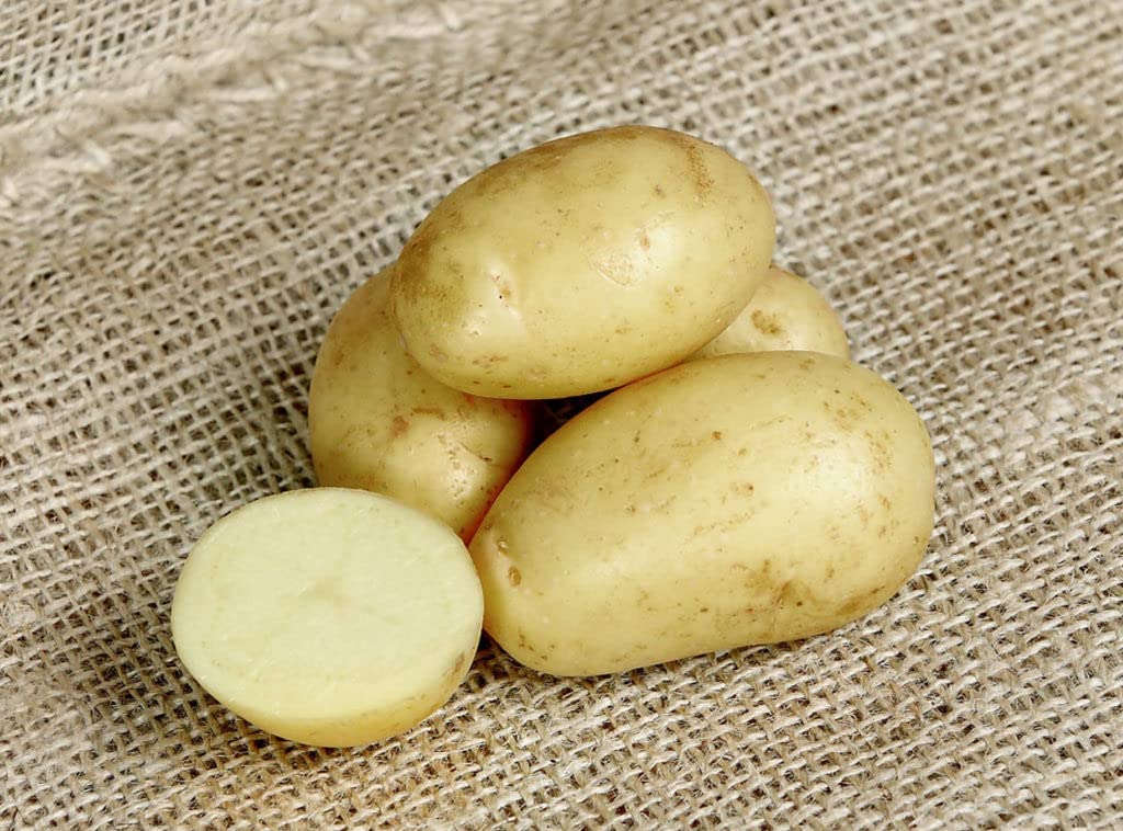 Patch Seed: Summer Autumn Planting, Second Cropping, Christmas Cropping, 10 Tuber Box of Charlotte Certified Seed Potatoes, Grow Your Own Potatoes for Christmas. Ready To Plant Now — image 1