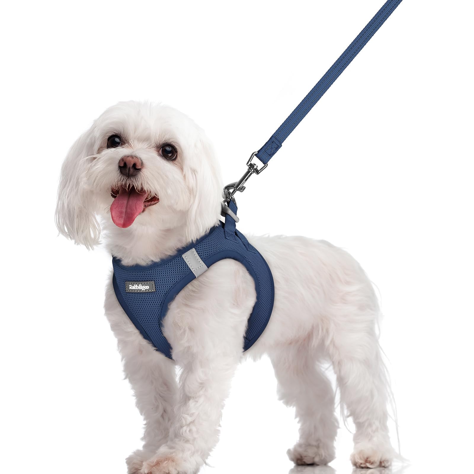 rabbitgoo Dog Harness Small Dog and Leash Set, Step-in Soft Mesh Puppy Harness with Reflective Strips, Lightweight Breathable Pet Vest for Walking Training, Navy Blue, M