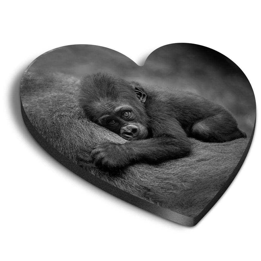 1 x Heart MDF Magnets - Gorilla Baby Animal 38826