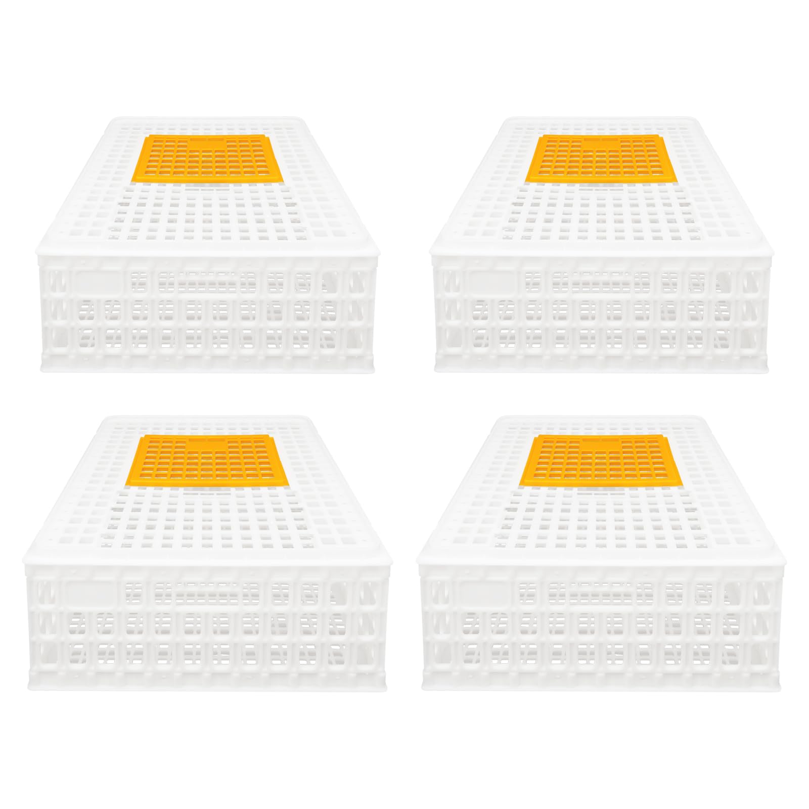 WooDerson Lot de 4 cages de transport en plastique pour poules, oiseaux, canards (blanc)