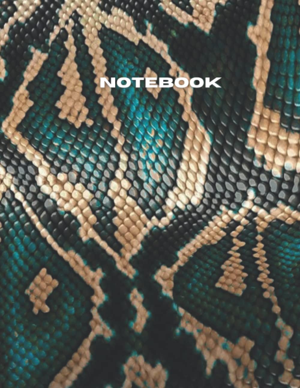 NOTEBOOK: skin snake Notebook - Large 8.5 x 11 -120Pages