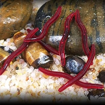 ソフトワーム大量売り plusnao ソフトルアー ワーム 10個セット ソフトワーム