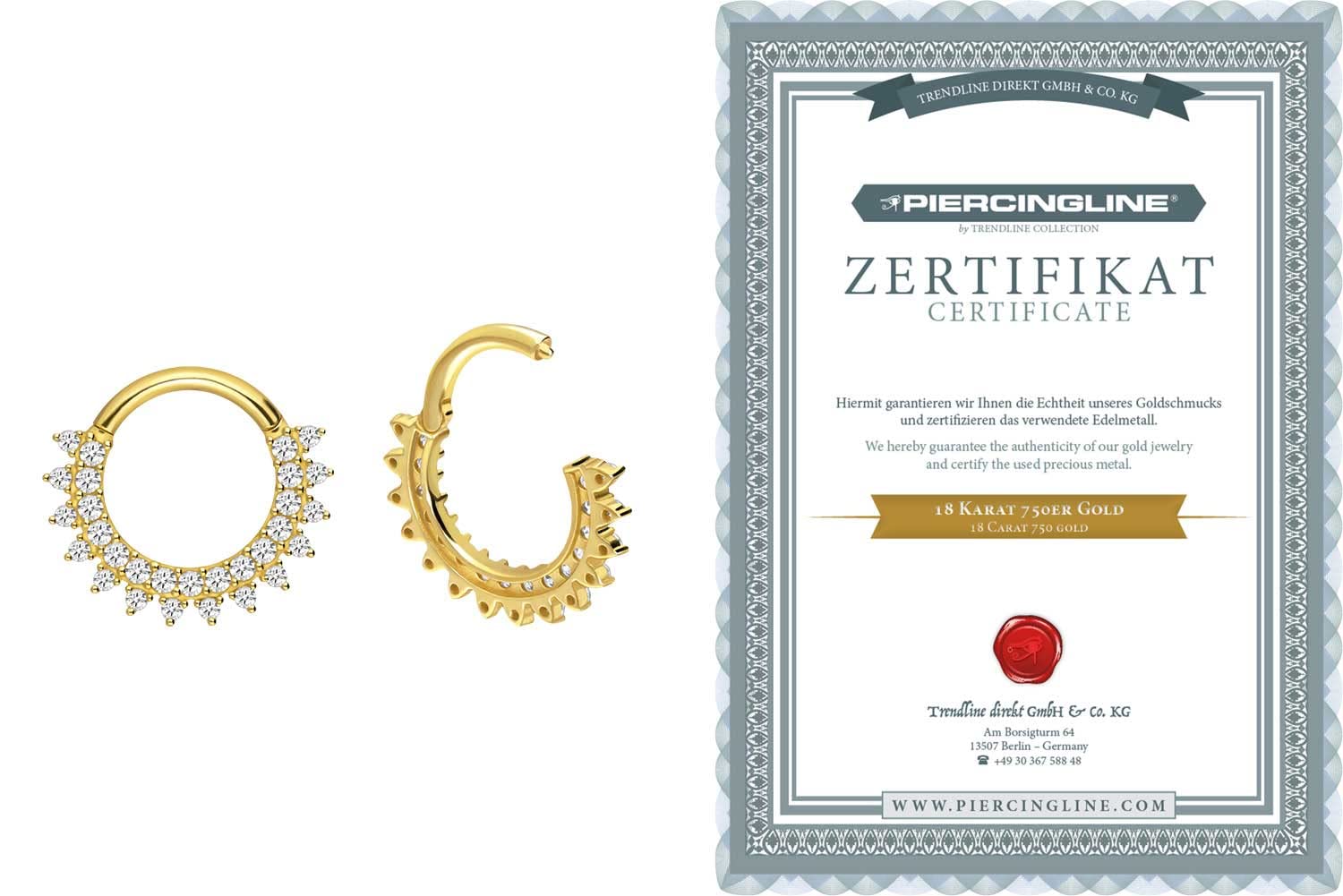 PIERCINGLINE 750er Gold Segmentring Clicker | 18 KARAT | EINGEFASSTE KRISTALLE mit SPITZEN | Piercing Ring Nase Septum Ohr Helix | Farbauswahl