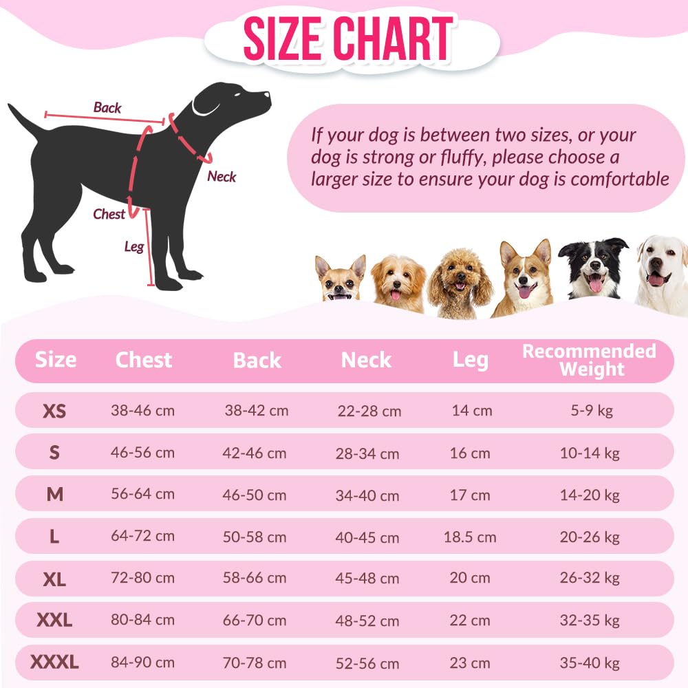 Eyein Dog Surgery Recovery Suit, Protect Wounds Recovery Suit Female Male - Image 2