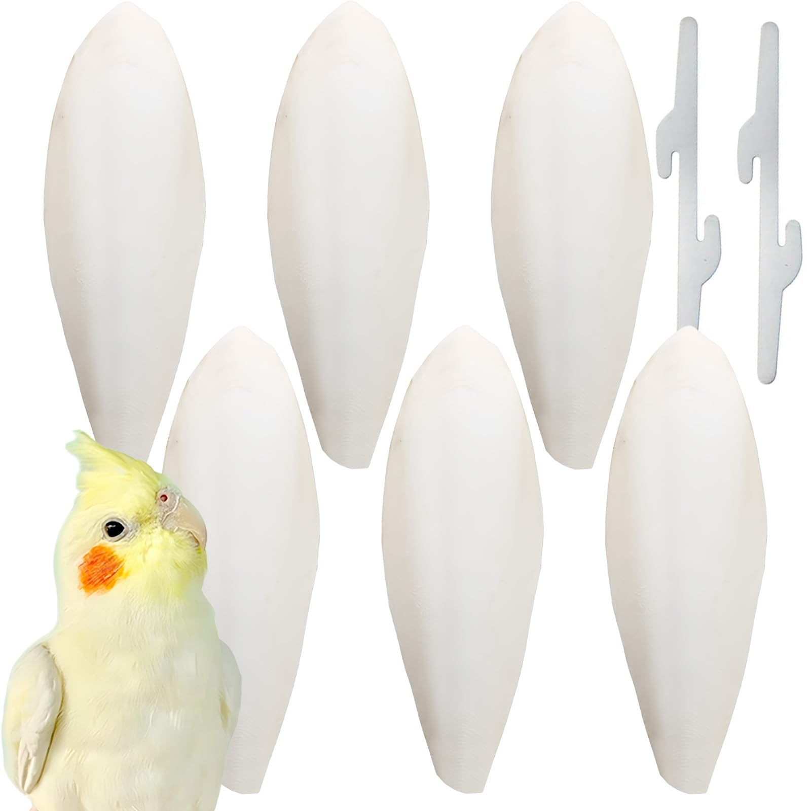 SakuPlus 6Pcs Cuttlefish Bone (8-10cm) with 2Pcs Metal Holder - Natural Calcium Beak Conditioner for Birds & Tortoises, Finches, Budgies - Pet Reptile Chew Accessory for Beak Trimming