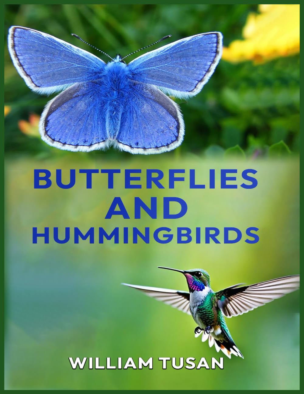 Butterflies and Humming Birds
