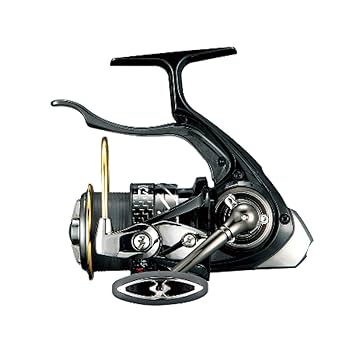 Amazon | ダイワ(DAIWA) スピニングリール 磯・堤防 銀狼 LBD