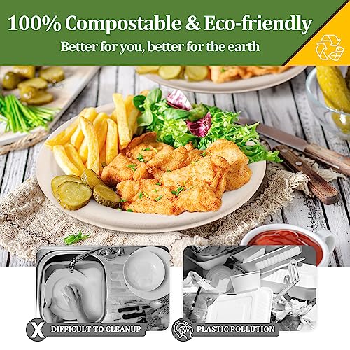 FEHHTO Compostable Paper Plates Set 250PCS Heavy-Duty Disposable Plate and Utensil Biodegradable Dinnerware for Party Sugarcane Plates, Extra Long Forks & Knives & Spoons for 50 People - Thumbnail 4