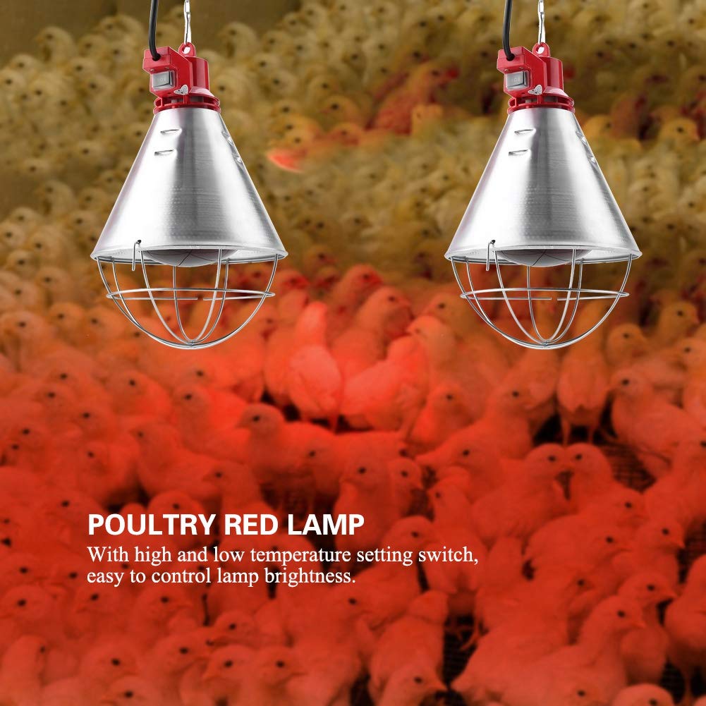 Tnfeeon Lampa grzewcza na podczerwień, 250 W, czerwone światło z niskim ustawieniem światła dla gadów, płazów, piskląt, świń i innych zwierząt (wtyczka UE 220 V)