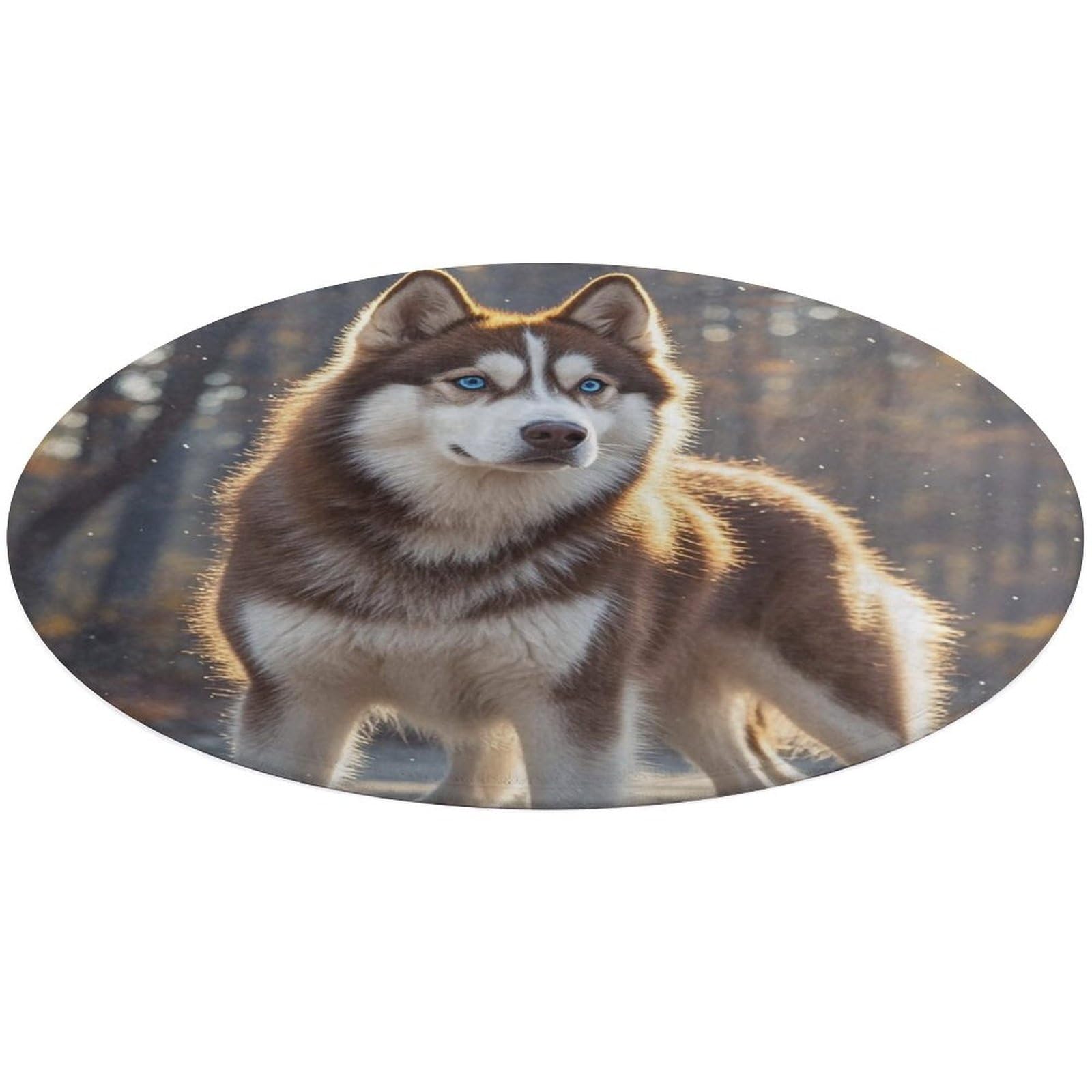 Tapis de bain Husky doux pour réchauffer le sol de la chambre