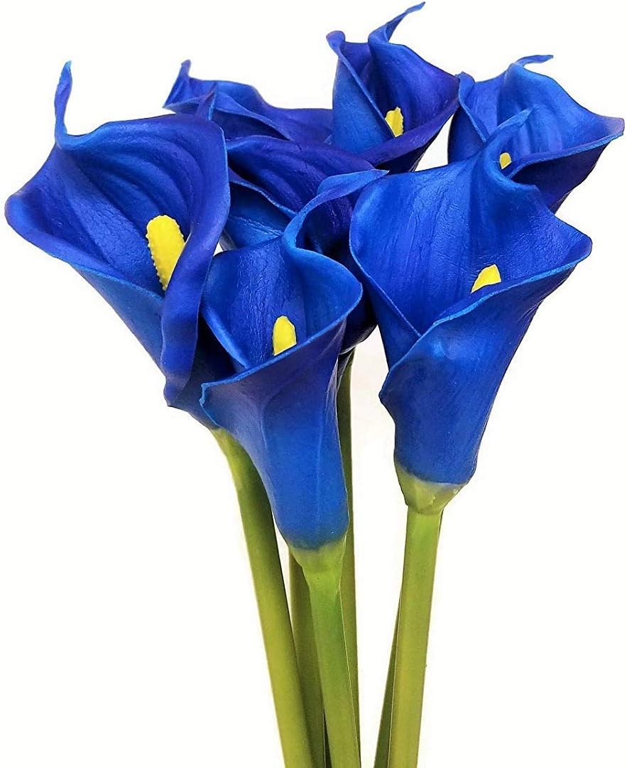 Large Real Touch Calla Lily Flowers for Office, Home Decor, Floral Arrangements, and Bridal Bouquets (Pack of 6) (Pacific Blue)