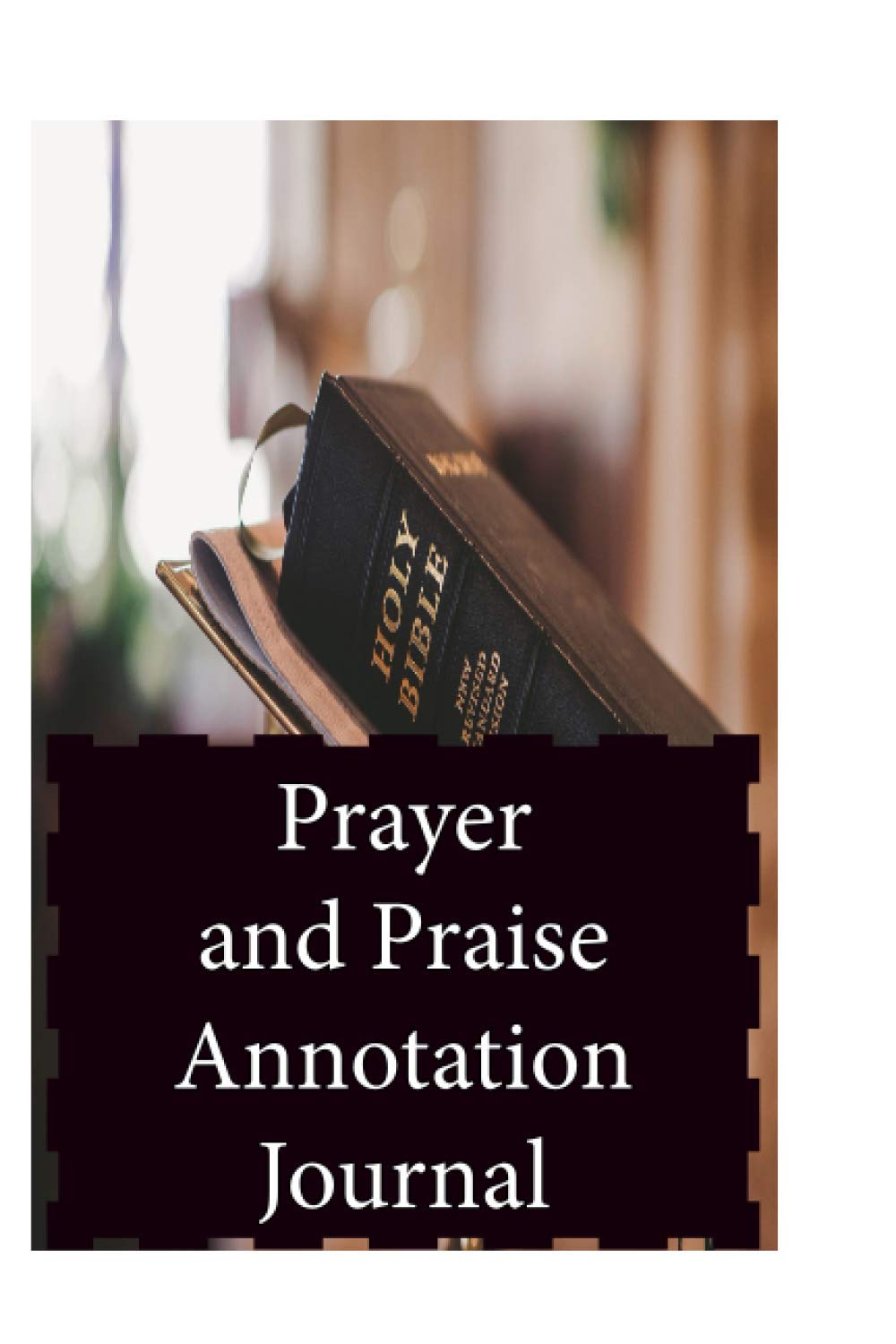 Prayer and Praise Annotation Journal: One powerful tool to find spiritual and emotional strength in times of trouble.