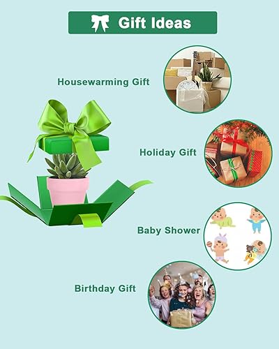 Miniatura 5 de vensovo 48 macetas pequeñas de terracota rosa melocotón  2 pulgadas pequeñas macetas de arcilla con agujeros de drenaje, macetas de terracota para