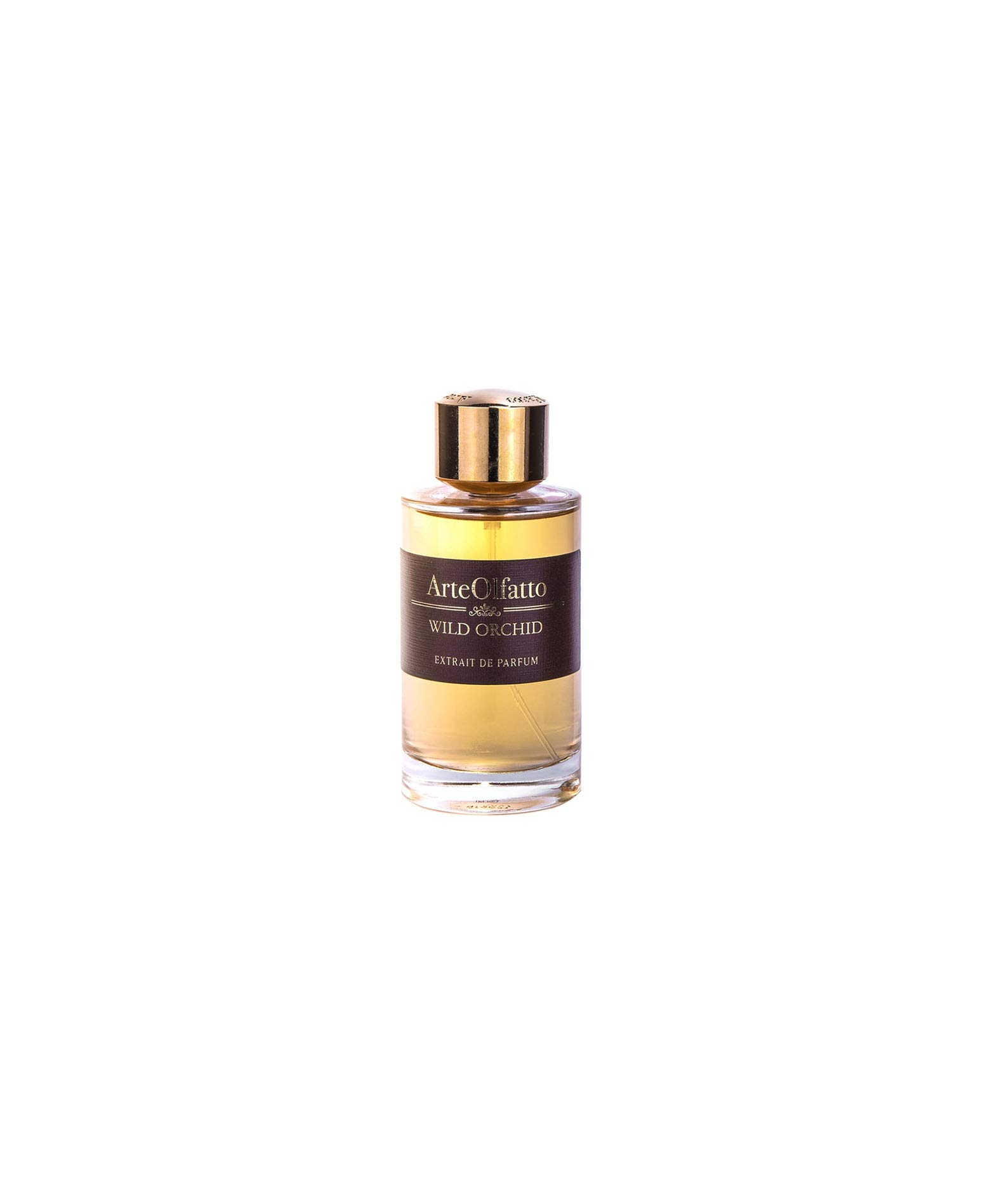 Orchid sauvage