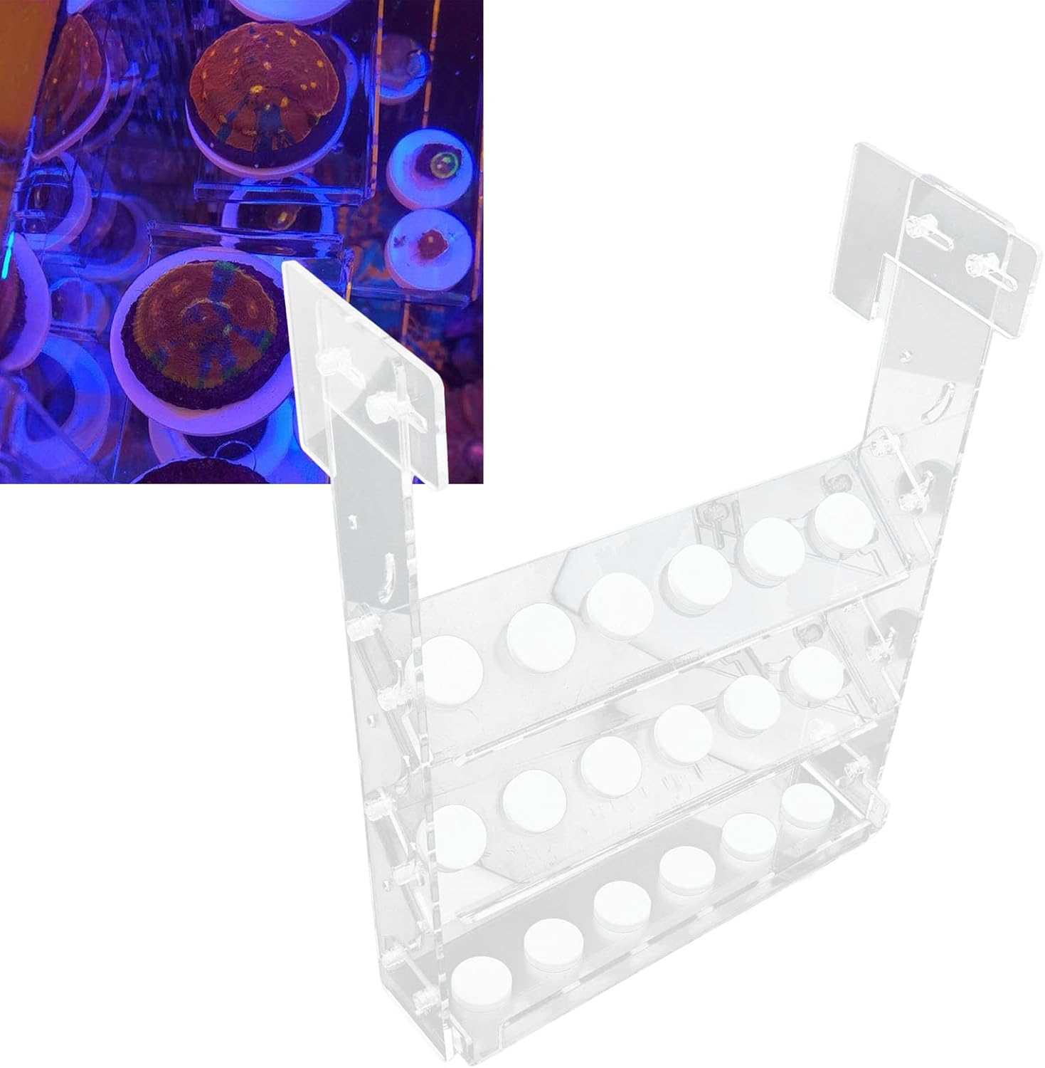 Coral Frag Rack Clear Acrylic Coral Holder Aquarium Fish Tank Button,Clear Acrylic Vertical 3-Tier Coral Fragment Holder for Fish Tanks (Ideal for Coral Cultivation and