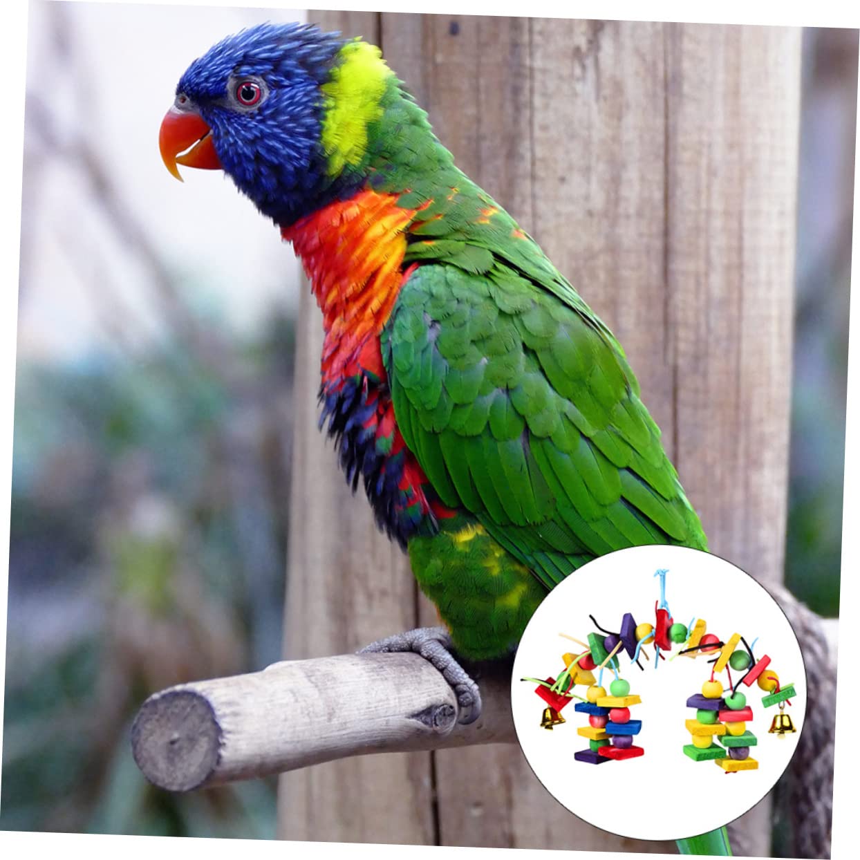 Beavorty 3stücke Kauspielzeug Buntes Vogelspielzeug Für Vögel Langlebig Und Unterhaltsam Für Haustierbedarf Und Vogelauslauf