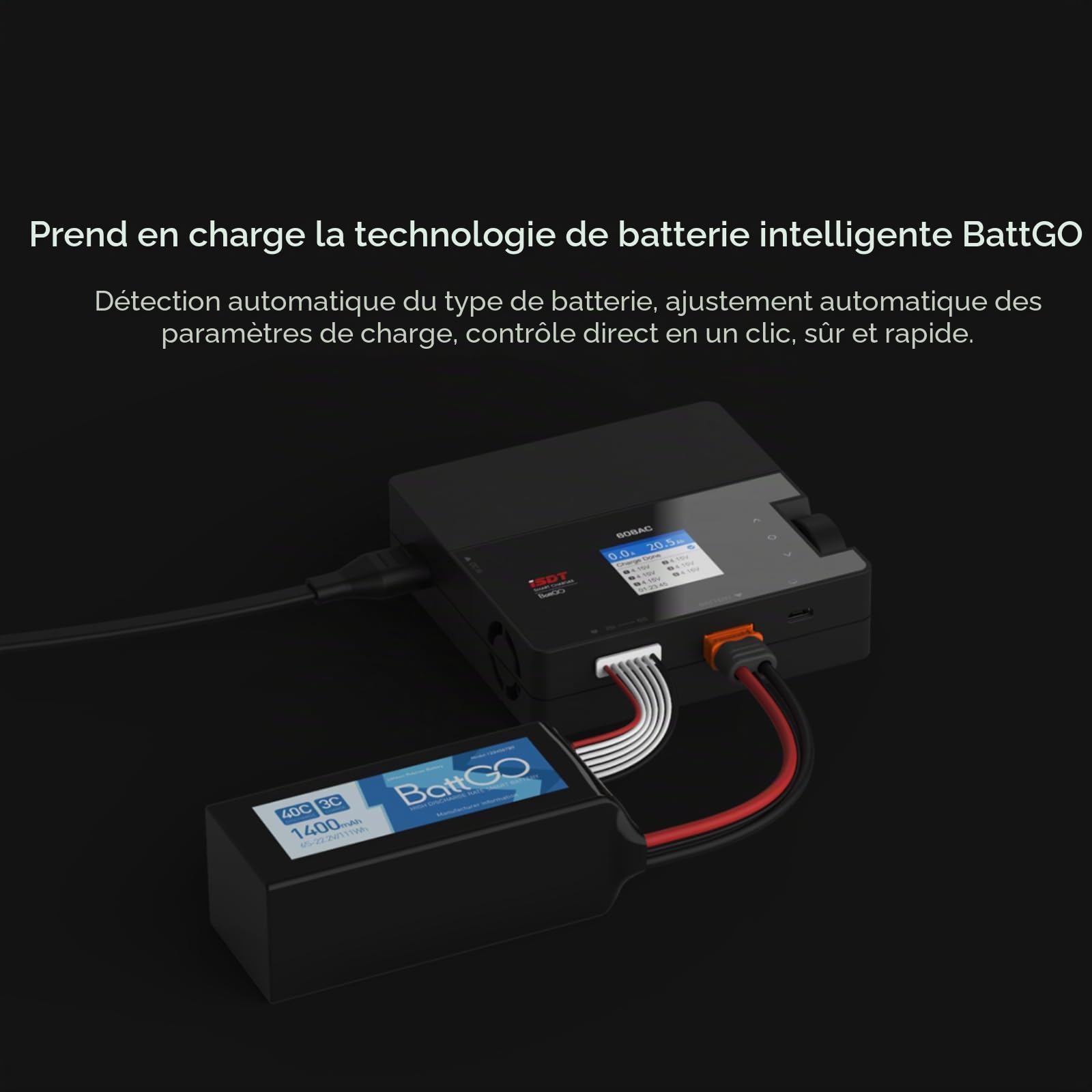 ISDT Chargeur Lipo 608AC - 50 W/200 W - Dual Mode RC - Bloc d'alimentation amovible - Chargeur Smart Balance pour batteries Life, LiPo, LiHv 1-6S/Pb 1-12S/NiMH 1-16S