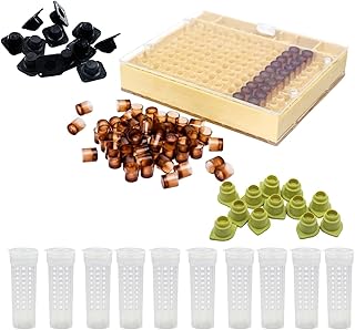 Keeping Queen Rearing Cup Kit Rearing Cup Holder Hair Roll Cage Apiculture System Accessories Convenient Keeping Supplies