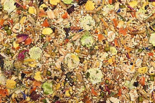 bunnyNature ZwerghamsterTraum Expert Flower - Alleinfuttermittel für Zwerghamster - Futter Mix mit Vitaminen, Blüten, Superfood & Mehlwürmern - 500g