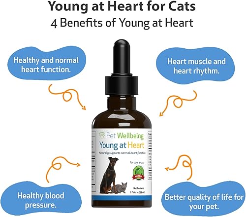 Miniatura 3 de Pet Wellbeing Young at Heart para gatos - Formulado por veterinarios - Apoya la salud cardiovascular (corazón y circulatoria) - Suplemento herbario