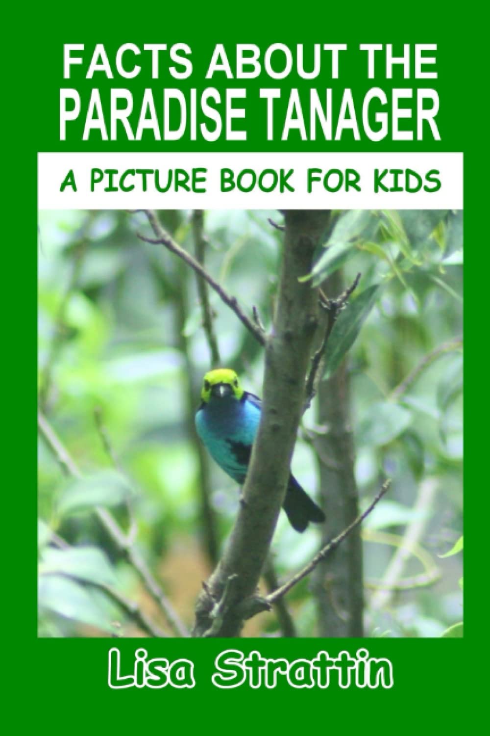 Facts About the Paradise Tanager