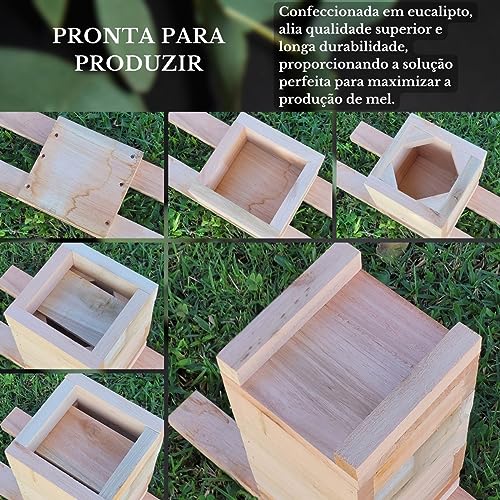 Caixa Inpa Para Abelhas Sem Ferrão Eucalipto 12x12