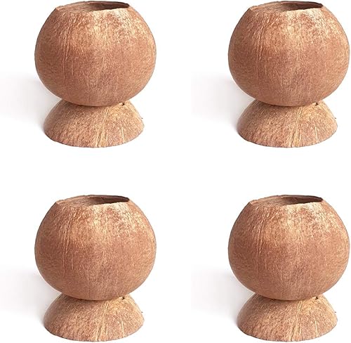 Miniatura 10 de Rainforest Bowls Juego de 2 macetas de coco con pedestal con orificio de drenaje, perfectas para suculentas, flores, plantas pequeñas, jardines