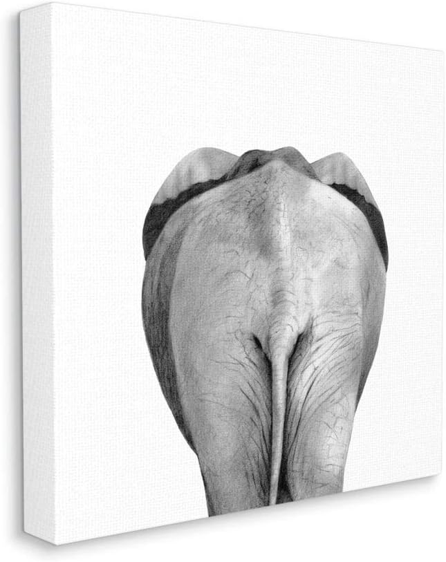 Stupell Industries Grey Elephant Butt Minimal Black White Drawing, Designed by Victoria Borges Wall Art, 36 x 36, Canvas