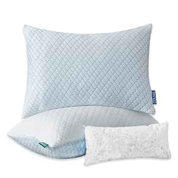 BLAIN SLEEP PILLOW LOW 収納バッグ・カバー2つ付き Amazon