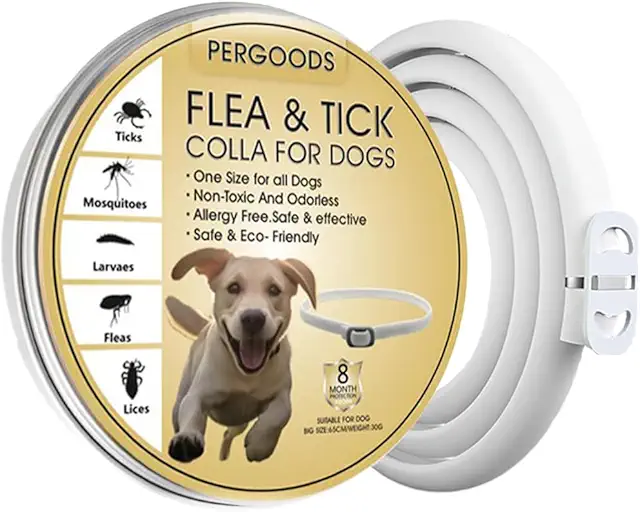 Collare Antipulci e Zecche per Cani Naturale, Protezione 8 Mesi (65cm)