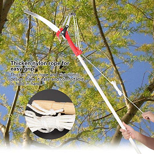 4 Ruedas Sharp Garden Poda Cabeza Cizalla Recogedor de Frutas Máquina