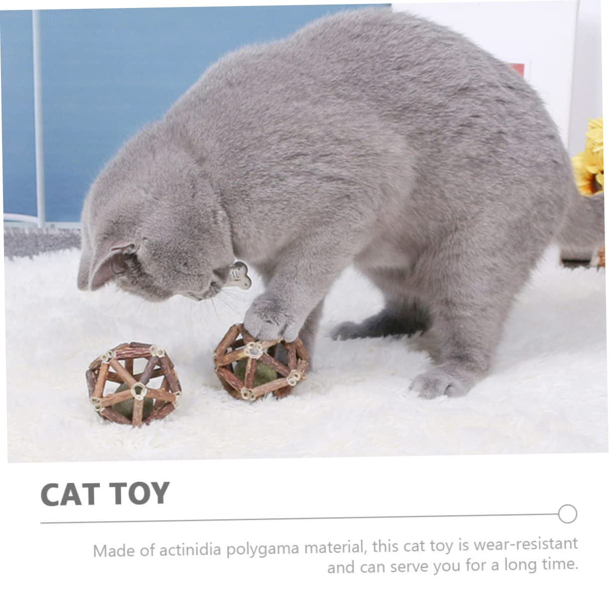 Supvox 12stücke Katzenminze Für Katzen Natürliche Kaubälle Aus Actinidia Polygama Zur Zahnpflege Und Verbesserung Der Verdauung Spielzeug Für Neugierige Kätzchen