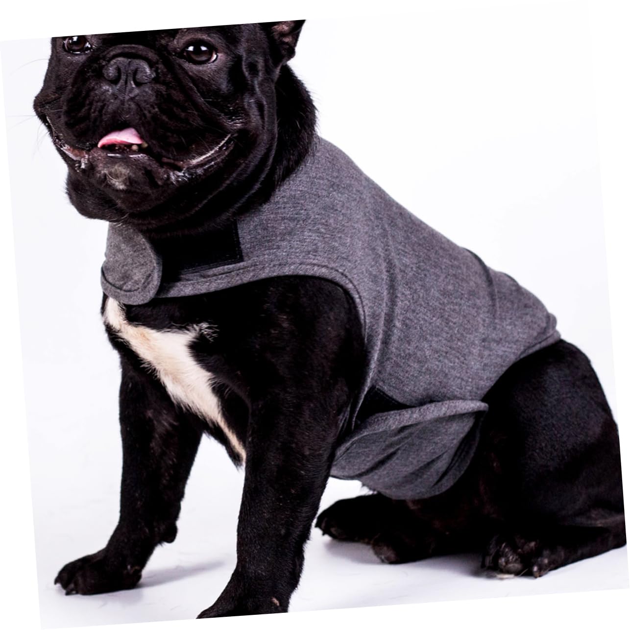 FOMIYES 3pcs Dog Jacket Emotional Appeasing Vest Fleece Size s for Calming Pets