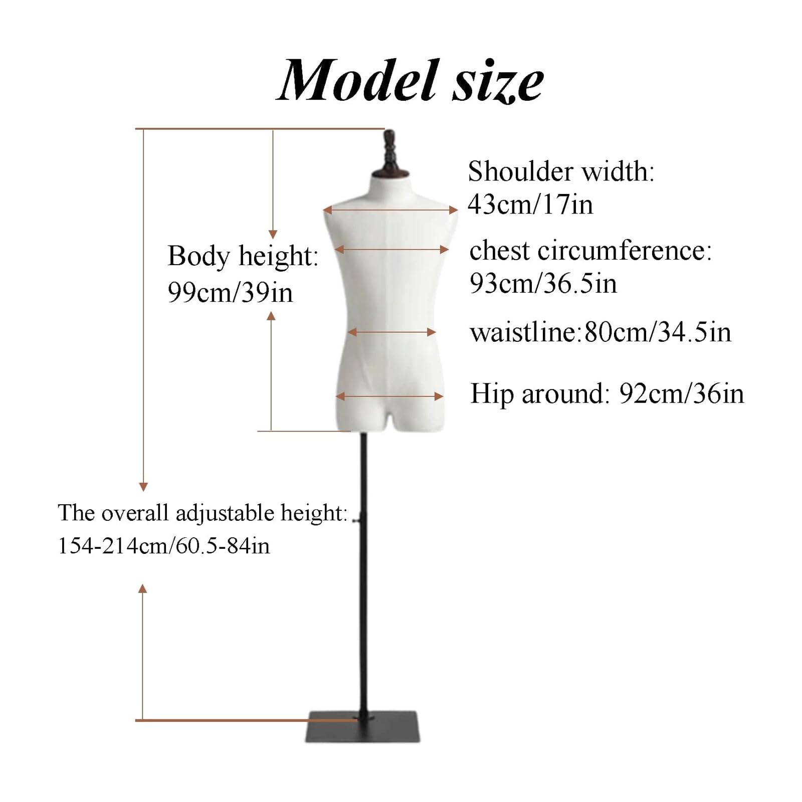 Mannequin Torso Easy to Move Clothing Mannequin Body Adjustable Height Half Body Manikin Clothing Models with Metal Stand
