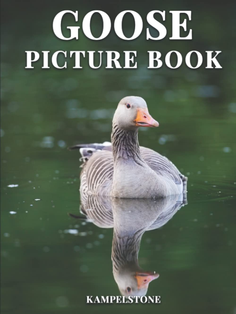 Goose Picture Book: 100 Beautiful Images of Geese - Perfect Gift or Hardcover Coffee Table Book Decor