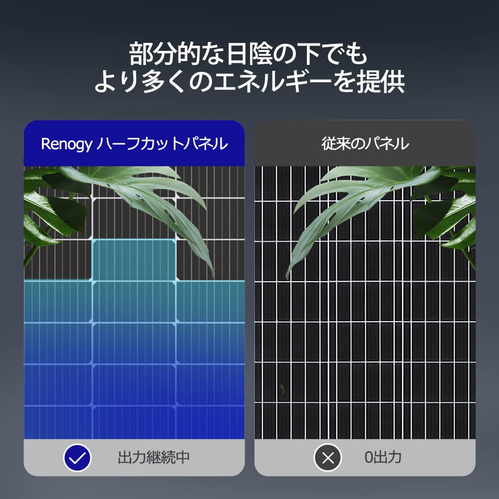 Amazon | Renogy 両面 220W 12V ソーラーパネル単結晶剛性高効率太陽光